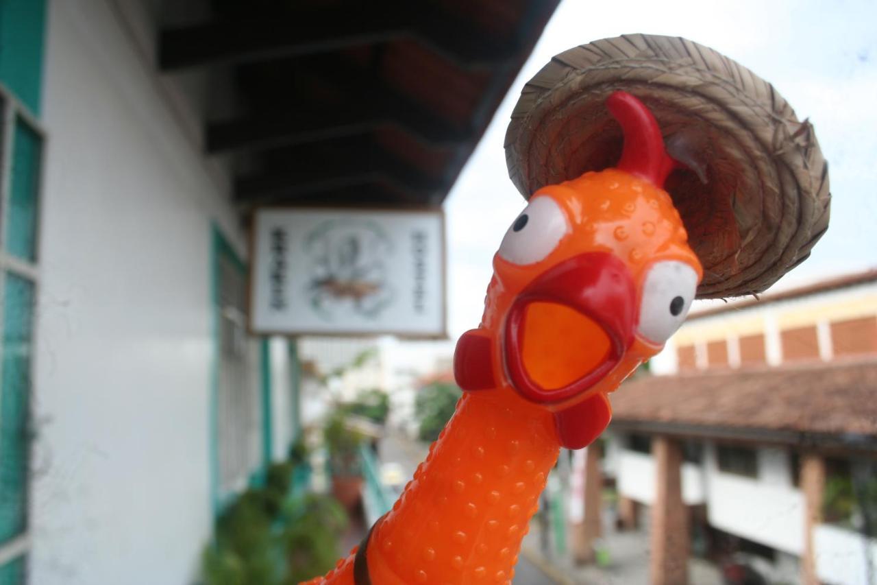 פוארטו ואלארטה Casa Kraken Hostel מראה חיצוני תמונה