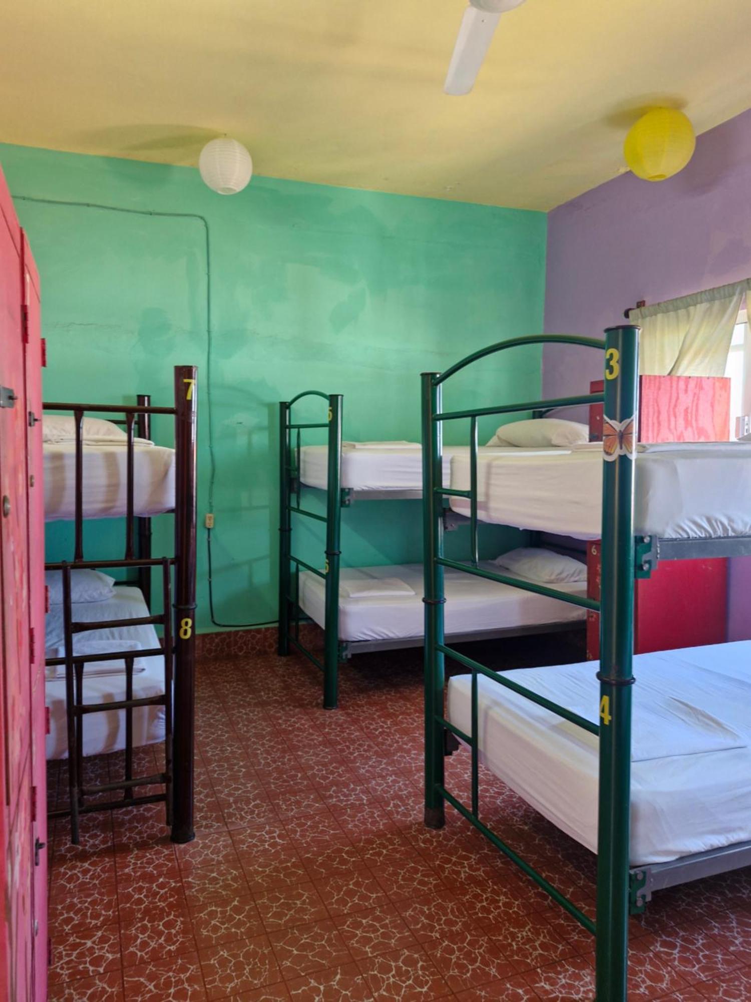 פוארטו ואלארטה Casa Kraken Hostel מראה חיצוני תמונה