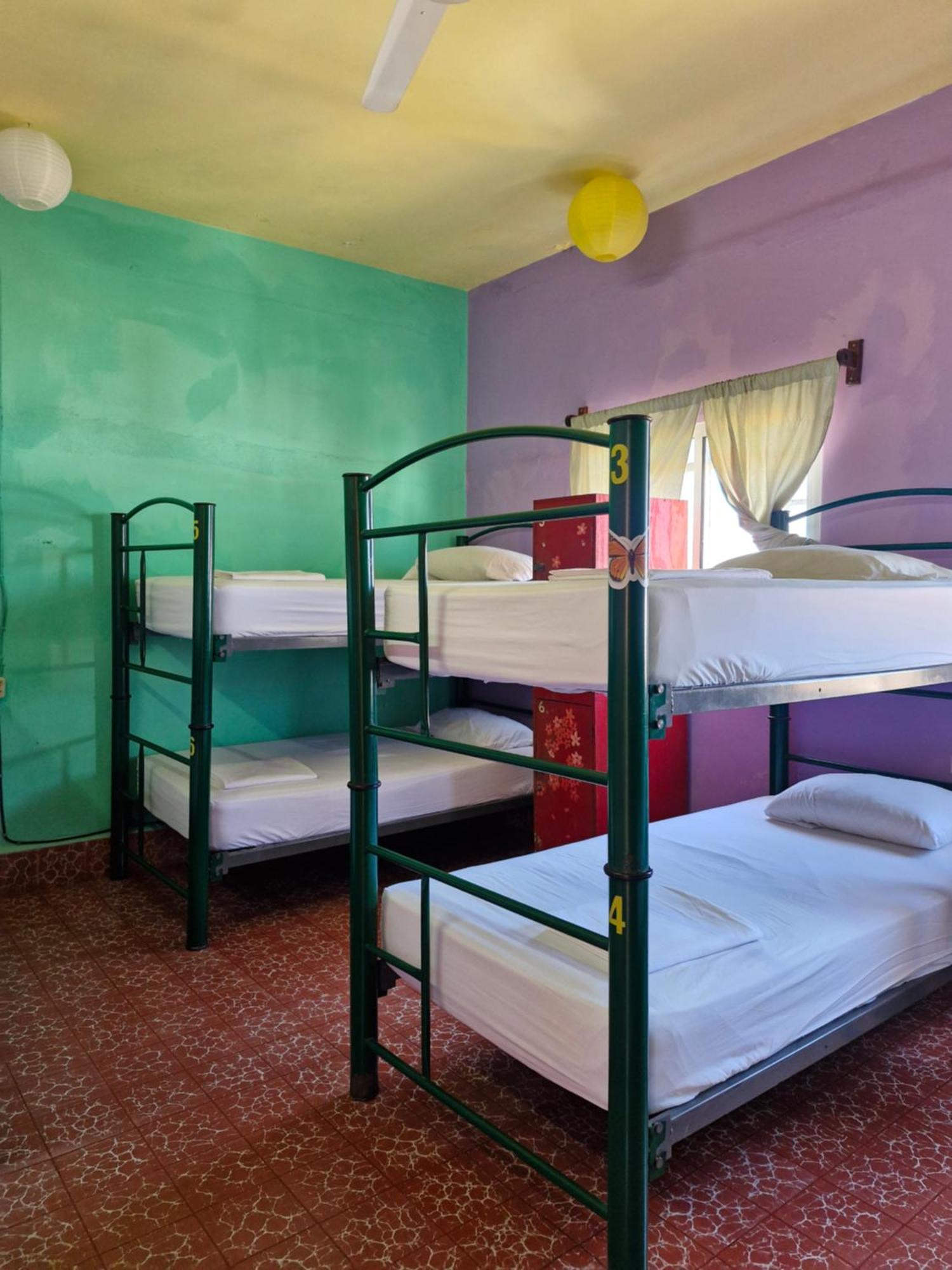 פוארטו ואלארטה Casa Kraken Hostel מראה חיצוני תמונה