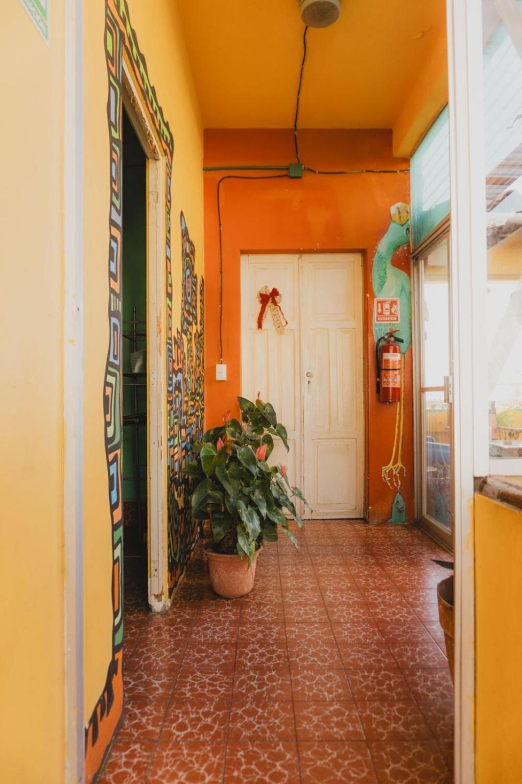 פוארטו ואלארטה Casa Kraken Hostel מראה חיצוני תמונה